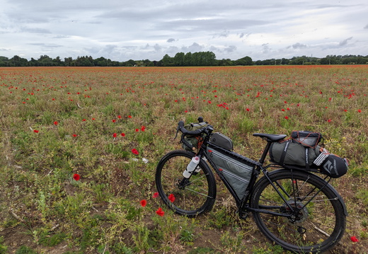 PXL 20250527 100347282