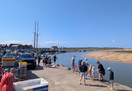 PXL 20250528 143230557.MP