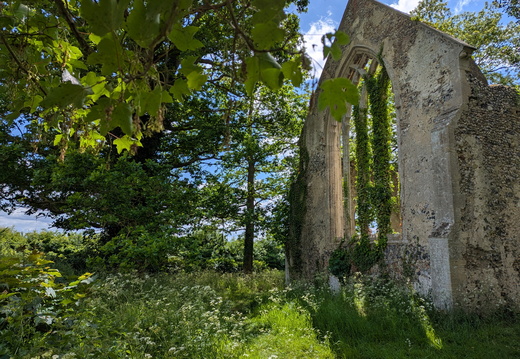 PXL 20250525 130536784