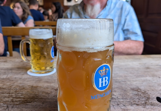 PXL 20240724 150821455